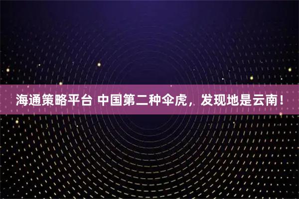 海通策略平台 中国第二种伞虎，发现地是云南！
