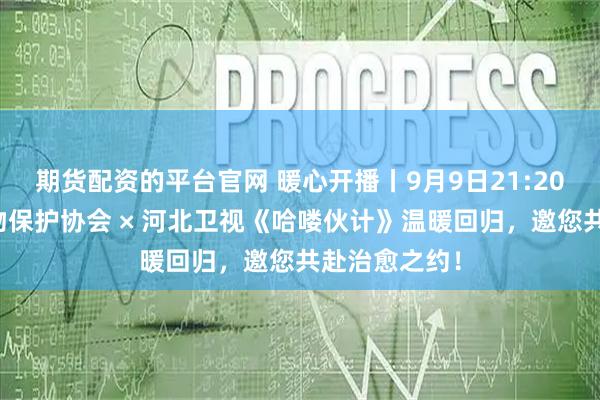 期货配资的平台官网 暖心开播丨9月9日21:20！中国小动物保护协会 × 河北卫视《哈喽伙计》温暖回归，邀您共赴治愈之约！