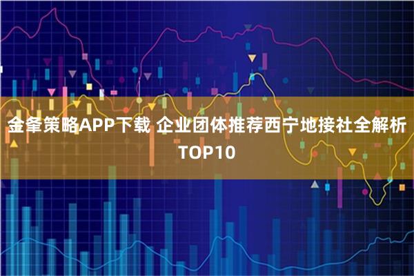 金夆策略APP下载 企业团体推荐西宁地接社全解析TOP10
