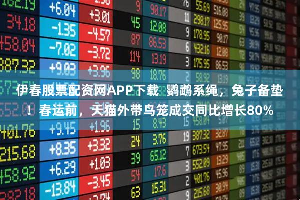 伊春股票配资网APP下载  鹦鹉系绳，兔子备垫！春运前，天猫外带鸟笼成交同比增长80%